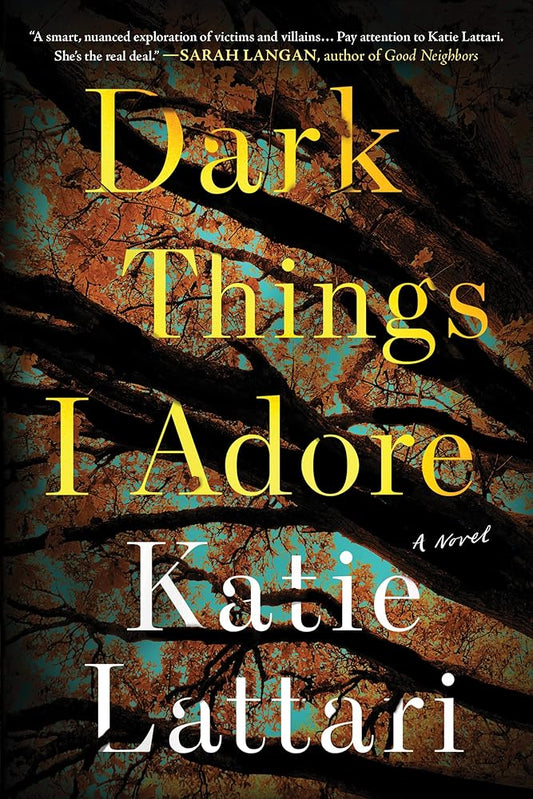 Dark Things I Adore: A Novel cover image